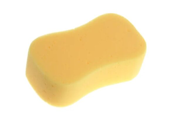 Jumbo Sponge , Brick Sponge